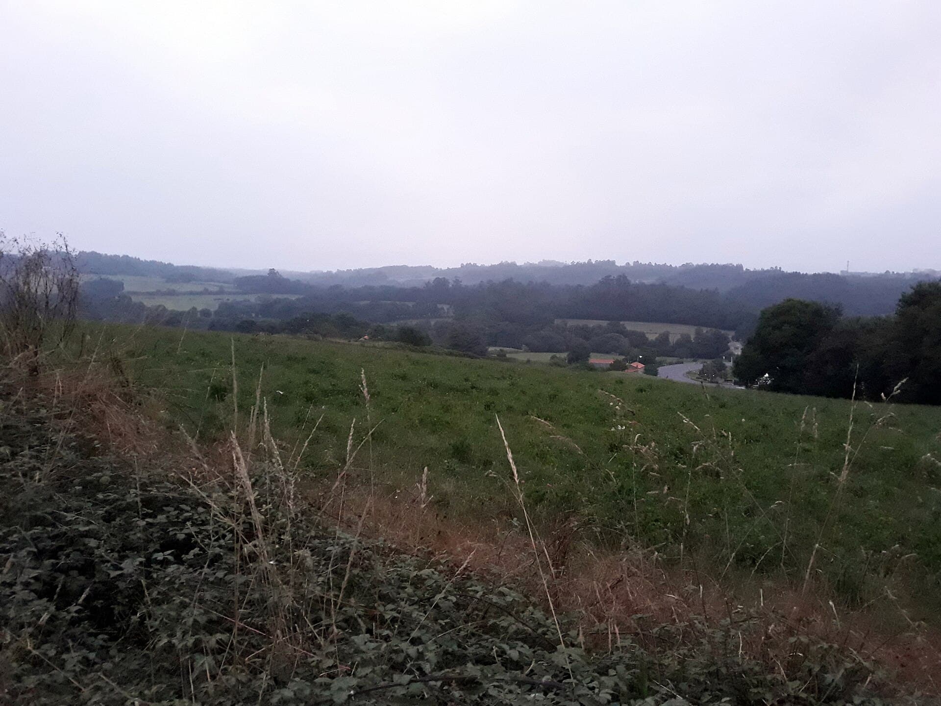 Campos y colinas de Galicia a la salida de Arzúa, con el Camino Francés descendiendo hacia el valle