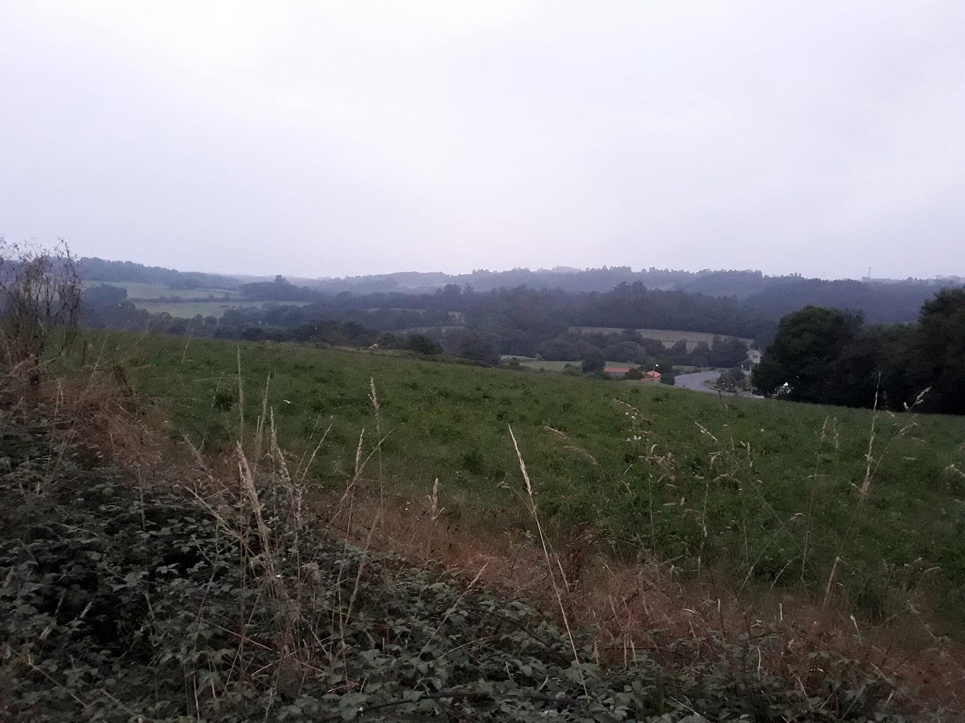 Campos y colinas de Galicia a la salida de Arzúa, con el Camino Francés descendiendo hacia el valle