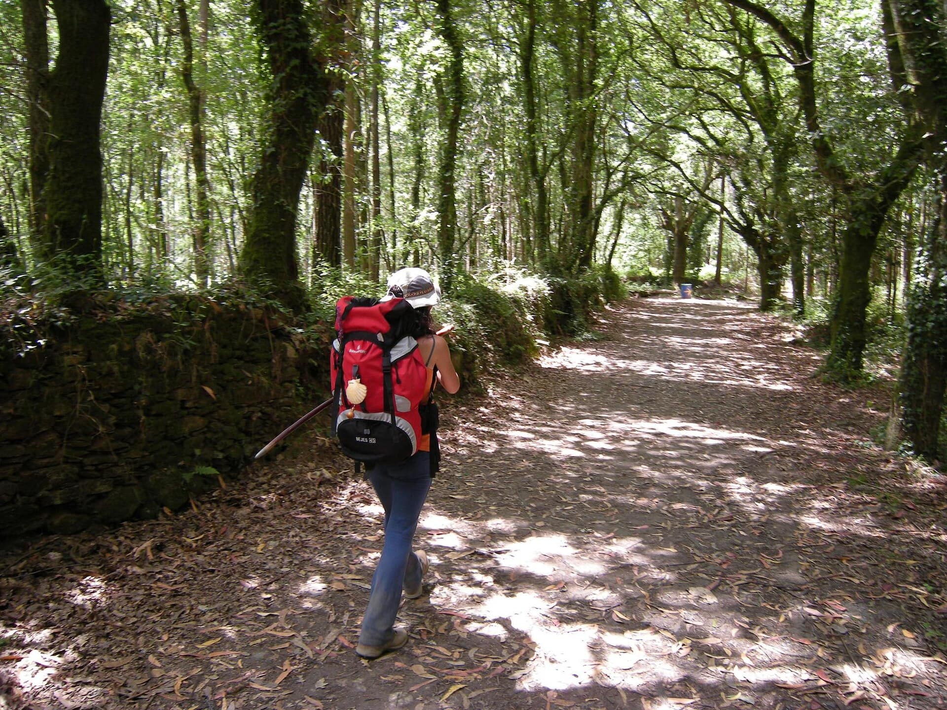 Peregrina con mochila roja y bastón caminando por el bosque de eucaliptos cerca de O Pedrouzo, poco antes de llegar a Santiago
