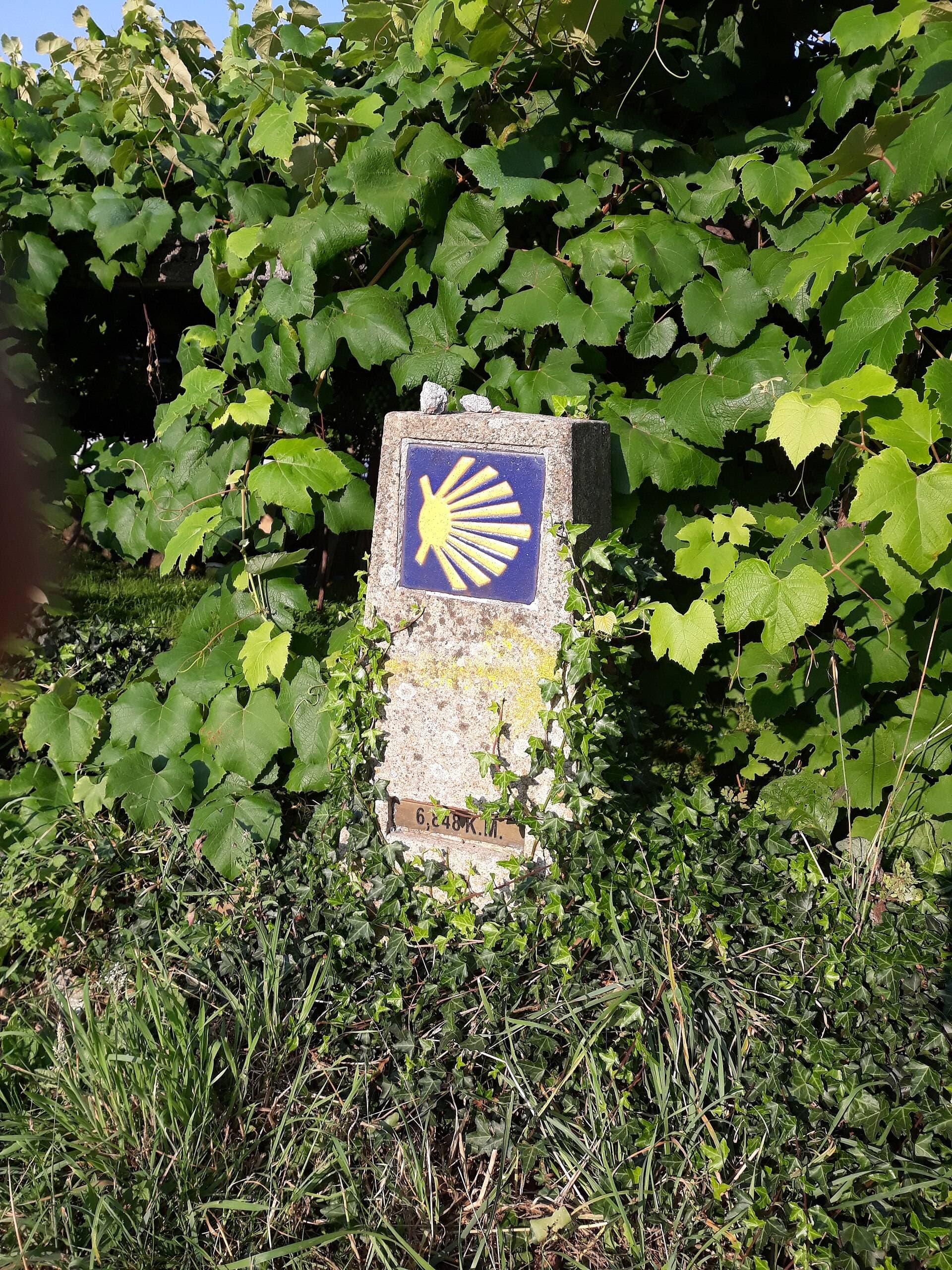 Mojón del Camino de Santiago con flecha amarilla y vieira, cerca de Santiago de Compostela
