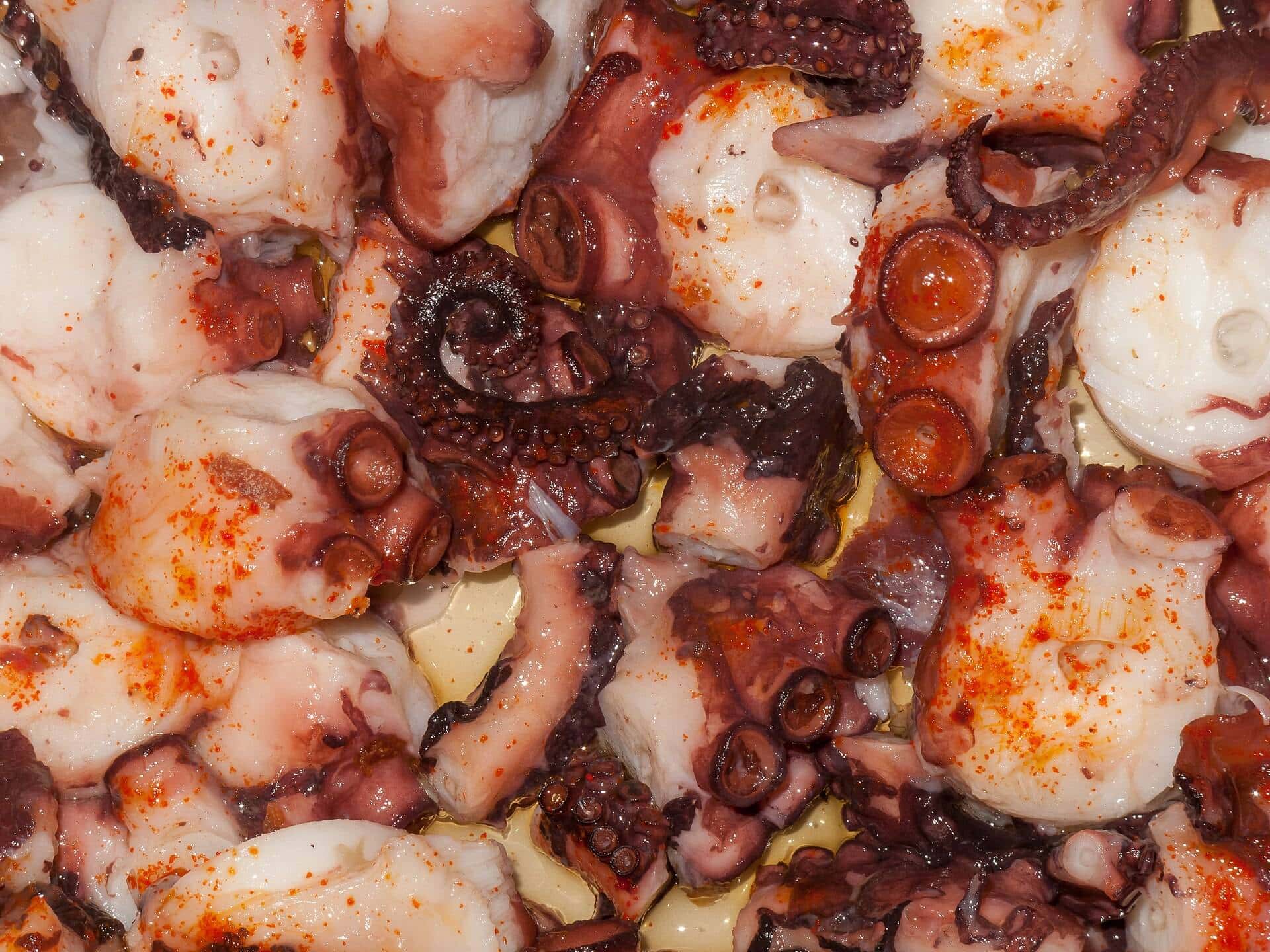 Pulpo á feira aliñado con pimentón, aceite y sal gorda, plato típico gallego